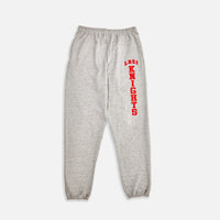 LREI SWEATPANTS in GRAY